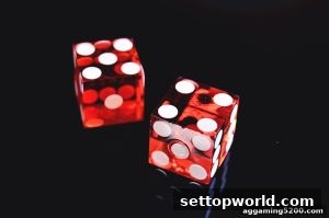 AG真人 settopworld